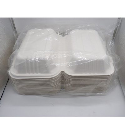 Bagasse Suikerriet Voedselcontainer