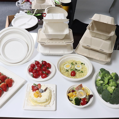 Bagasse Suikerriet Voedselcontainer