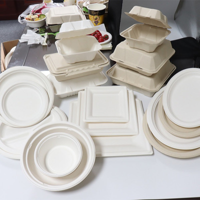 Bagasse Suikerriet Voedselcontainer