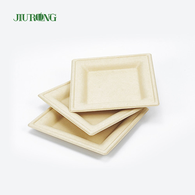 Eco-vriendelijke wegwerp suikerriet voedselcontainer biologisch afbreekbare Bagasse Sushi Tray