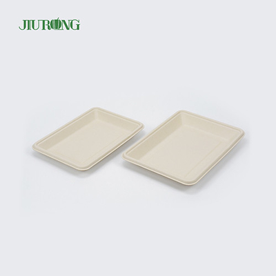 PLA Biologisch afbreekbare Bagasse Servies Schotel Fast Food Dienblad