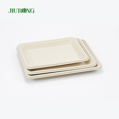 PLA Biologisch afbreekbare Bagasse Servies Schotel Fast Food Dienblad