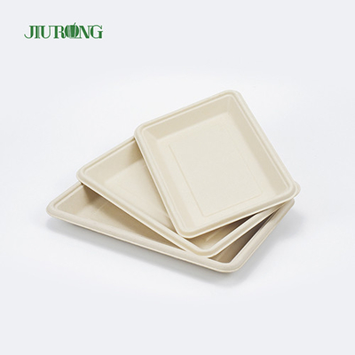 PLA Biologisch afbreekbare Bagasse Servies Schotel Fast Food Dienblad