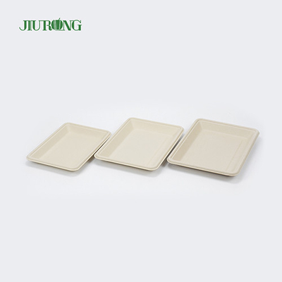 PLA Biologisch afbreekbare Bagasse Servies Schotel Fast Food Dienblad