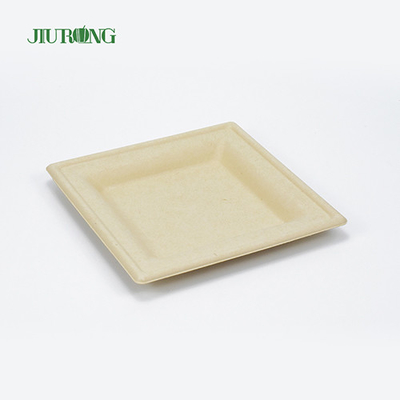 Eco-vriendelijke wegwerp suikerriet voedselcontainer biologisch afbreekbare Bagasse Sushi Tray